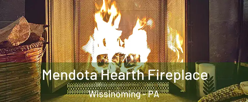 Mendota Hearth Fireplace Wissinoming - PA