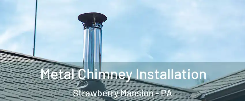 Metal Chimney Installation Strawberry Mansion - PA