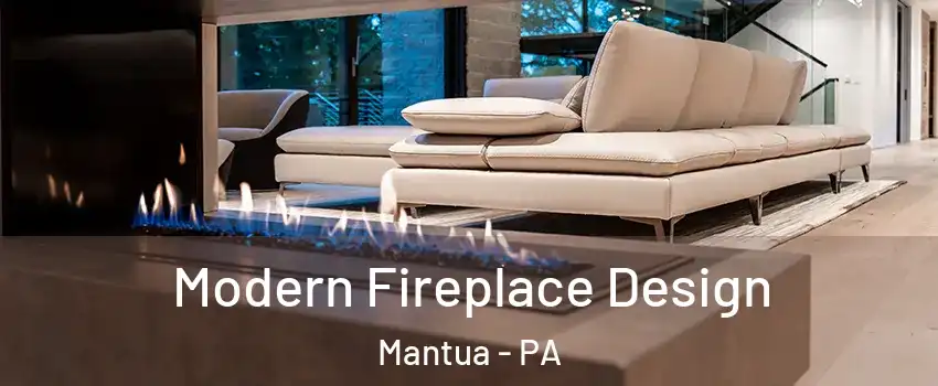 Modern Fireplace Design Mantua - PA