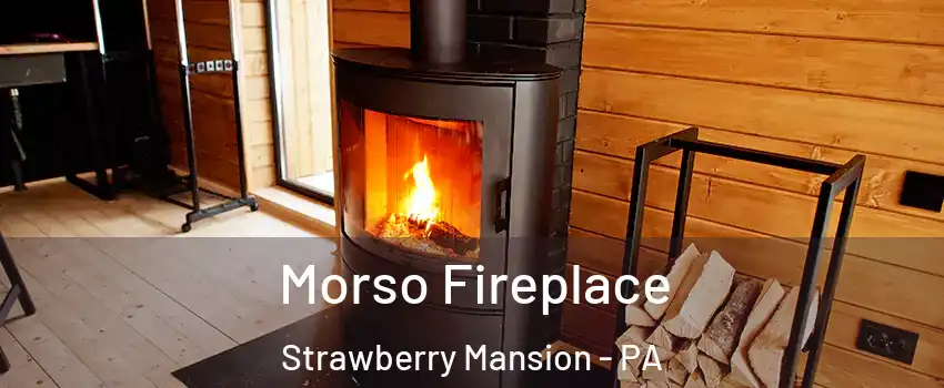 Morso Fireplace Strawberry Mansion - PA