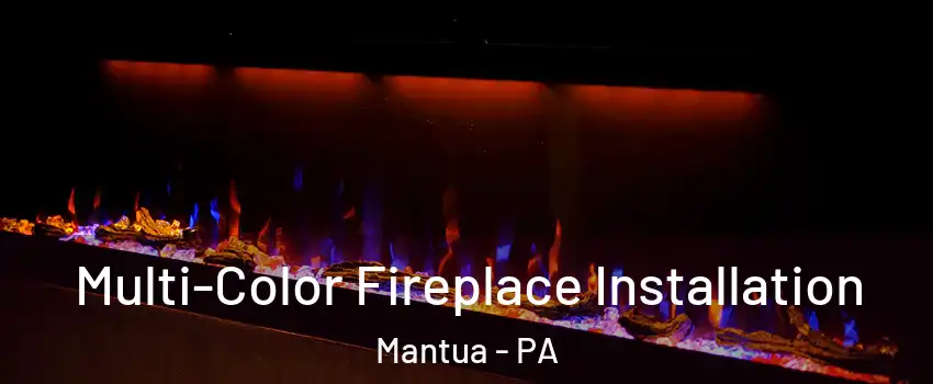 Multi-Color Fireplace Installation Mantua - PA