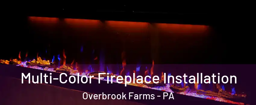 Multi-Color Fireplace Installation Overbrook Farms - PA