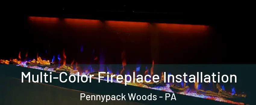 Multi-Color Fireplace Installation Pennypack Woods - PA