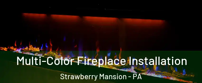 Multi-Color Fireplace Installation Strawberry Mansion - PA