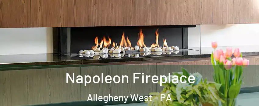 Napoleon Fireplace Allegheny West - PA