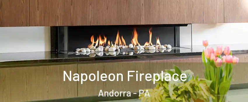 Napoleon Fireplace Andorra - PA