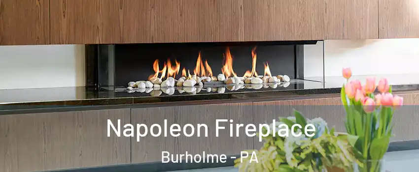 Napoleon Fireplace Burholme - PA