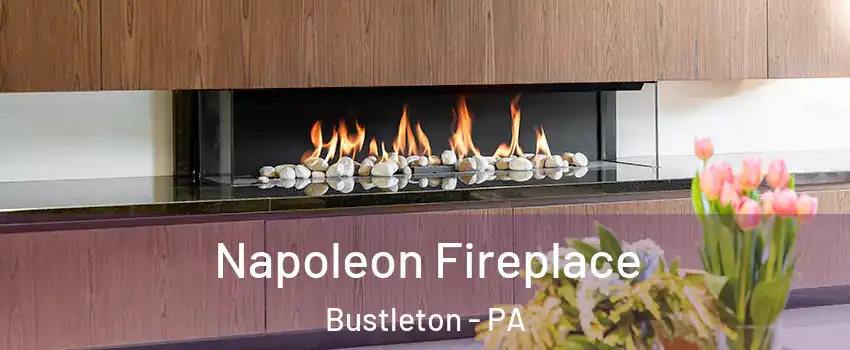 Napoleon Fireplace Bustleton - PA