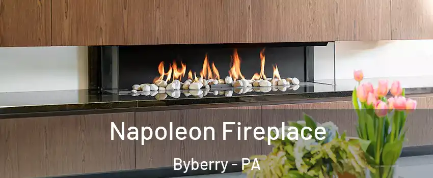 Napoleon Fireplace Byberry - PA