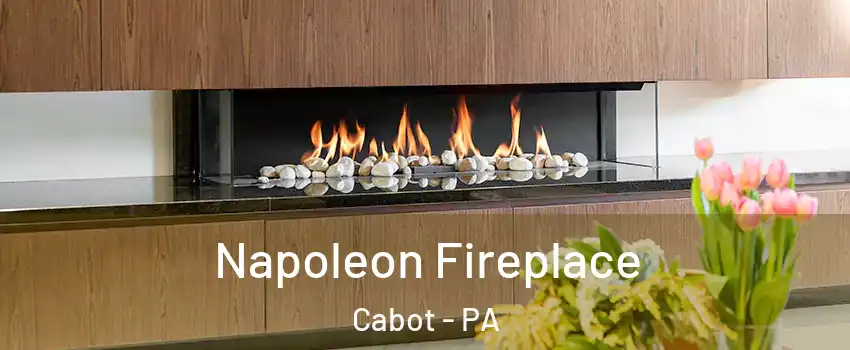Napoleon Fireplace Cabot - PA