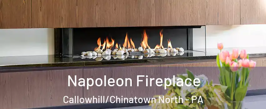 Napoleon Fireplace Callowhill/Chinatown North - PA