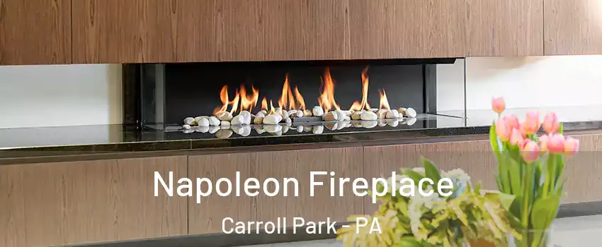 Napoleon Fireplace Carroll Park - PA