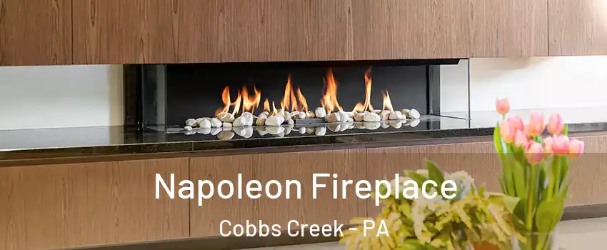 Napoleon Fireplace Cobbs Creek - PA