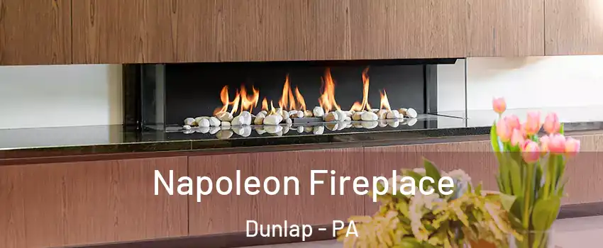 Napoleon Fireplace Dunlap - PA