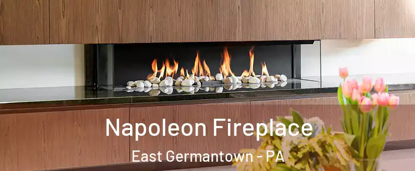 Napoleon Fireplace East Germantown - PA