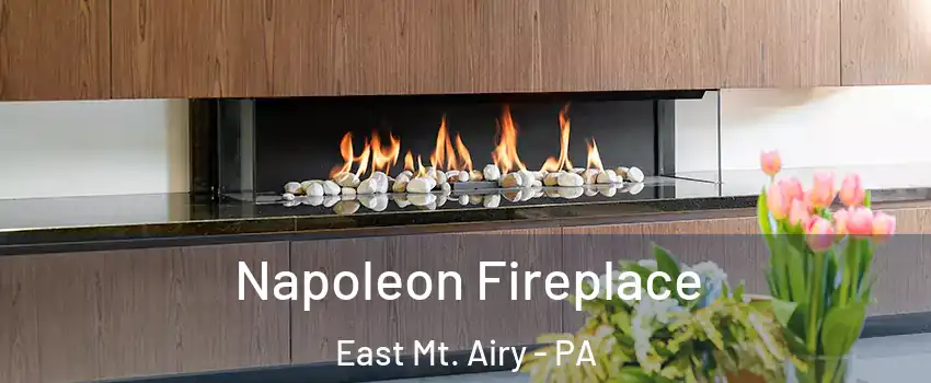 Napoleon Fireplace East Mt. Airy - PA