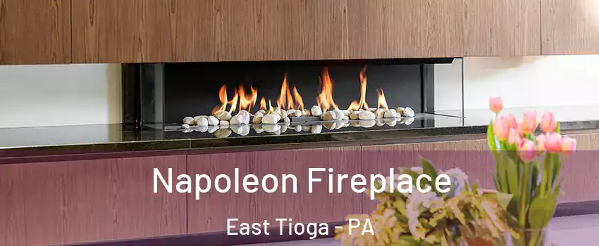 Napoleon Fireplace East Tioga - PA