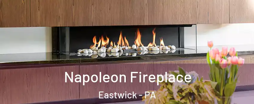 Napoleon Fireplace Eastwick - PA