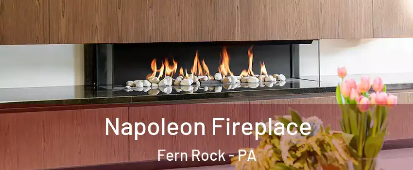 Napoleon Fireplace Fern Rock - PA