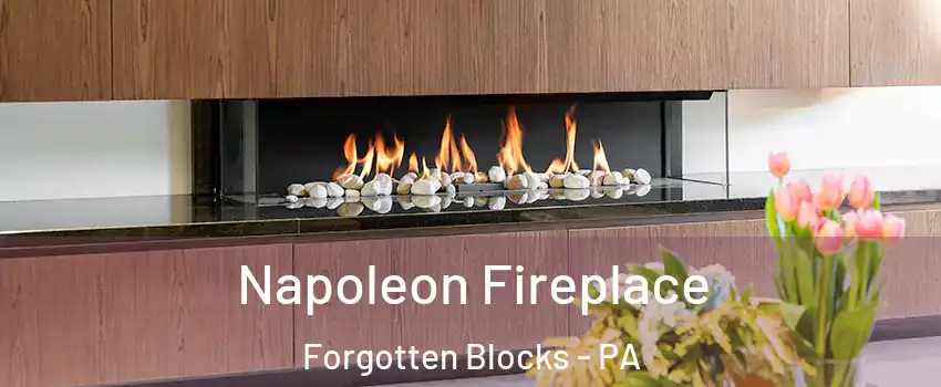 Napoleon Fireplace Forgotten Blocks - PA
