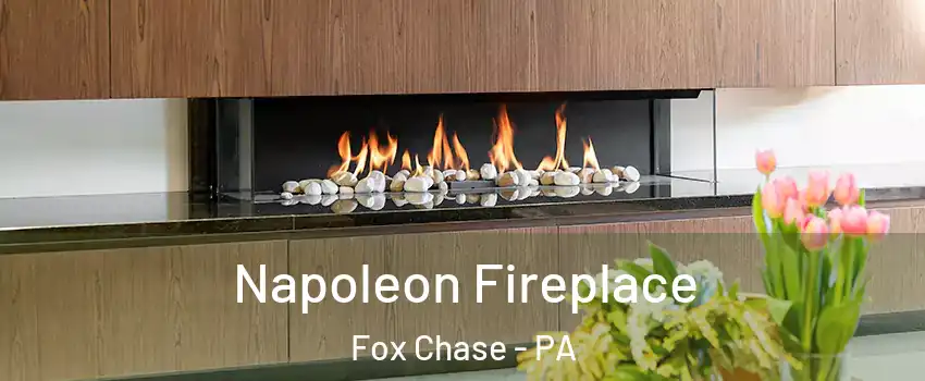 Napoleon Fireplace Fox Chase - PA
