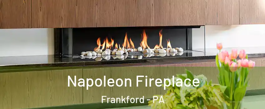 Napoleon Fireplace Frankford - PA