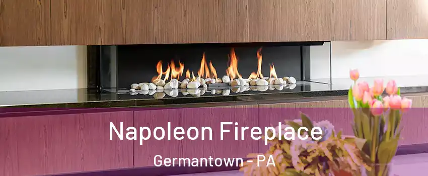 Napoleon Fireplace Germantown - PA