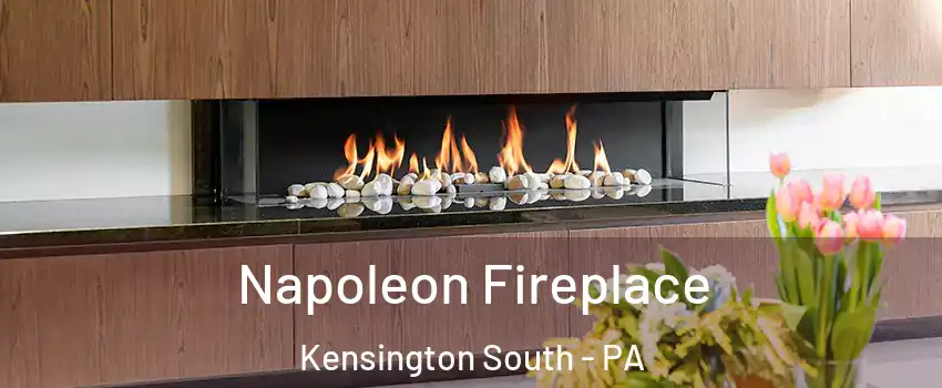 Napoleon Fireplace Kensington South - PA
