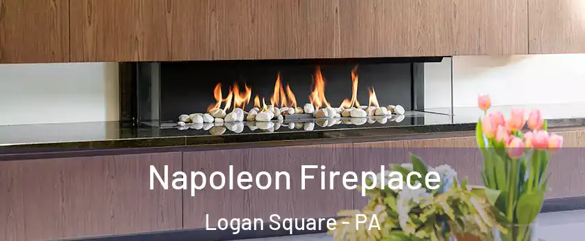 Napoleon Fireplace Logan Square - PA
