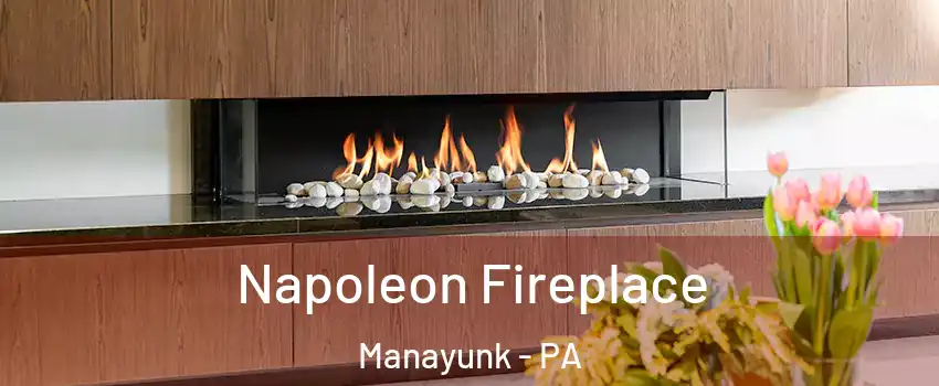 Napoleon Fireplace Manayunk - PA