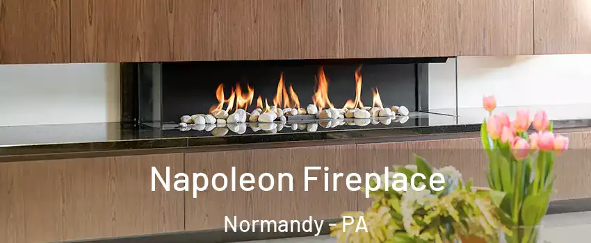 Napoleon Fireplace Normandy - PA
