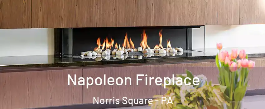 Napoleon Fireplace Norris Square - PA