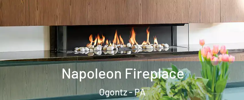 Napoleon Fireplace Ogontz - PA