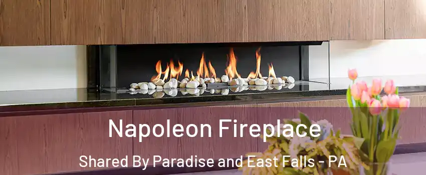 Napoleon Fireplace Shared By Paradise and East Falls - PA