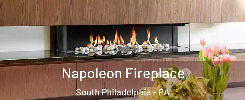 Napoleon Fireplace South Philadelphia - PA