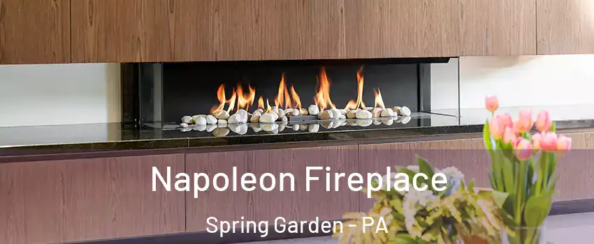Napoleon Fireplace Spring Garden - PA