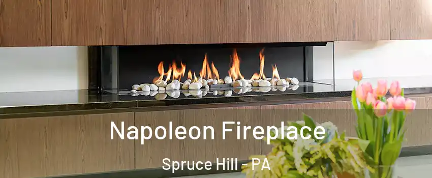 Napoleon Fireplace Spruce Hill - PA