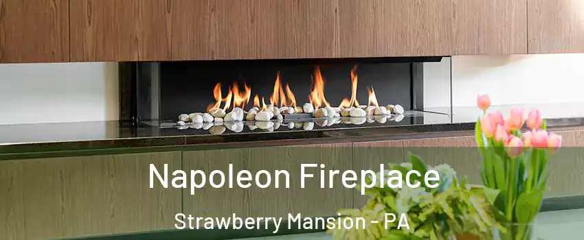 Napoleon Fireplace Strawberry Mansion - PA