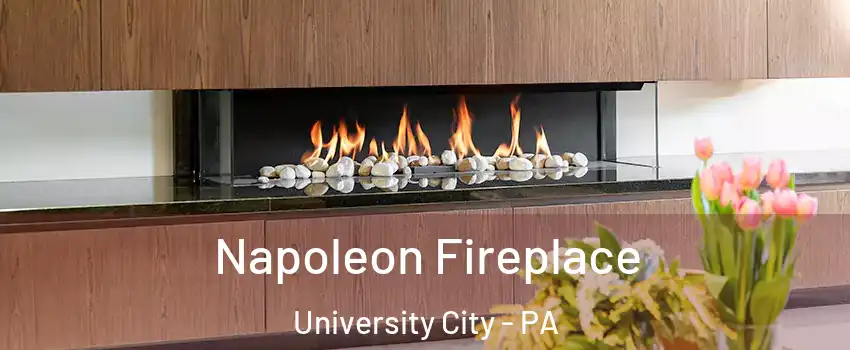 Napoleon Fireplace University City - PA