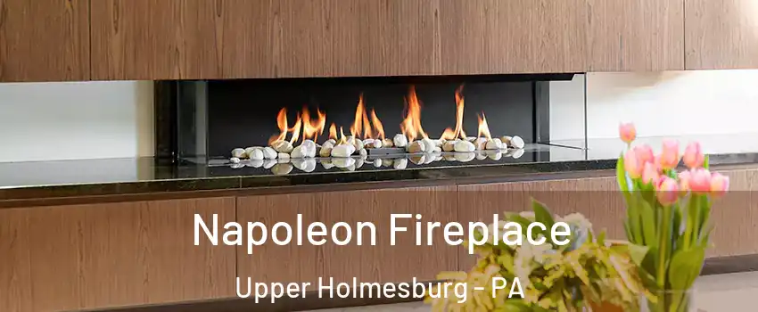 Napoleon Fireplace Upper Holmesburg - PA