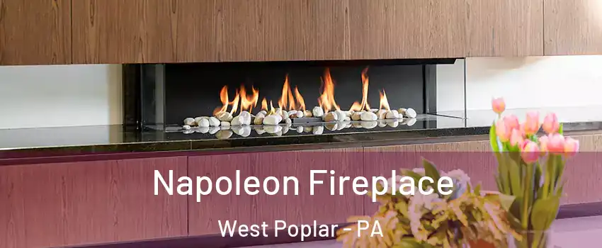 Napoleon Fireplace West Poplar - PA