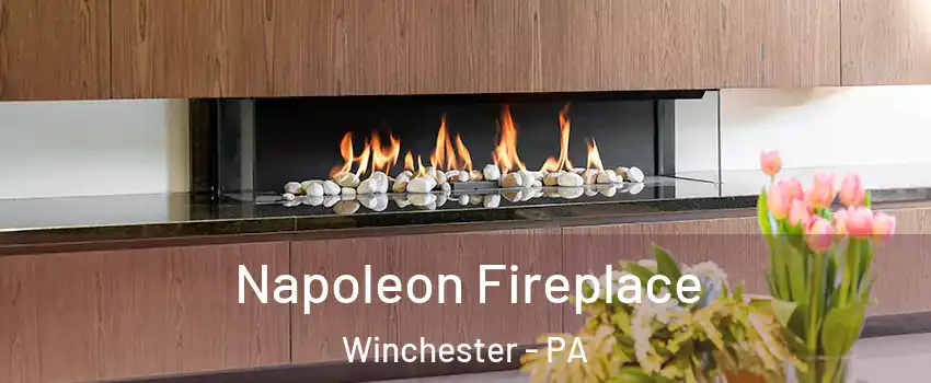 Napoleon Fireplace Winchester - PA
