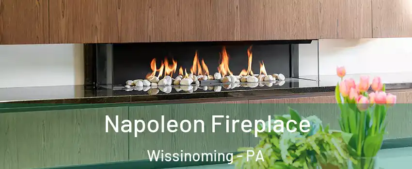 Napoleon Fireplace Wissinoming - PA