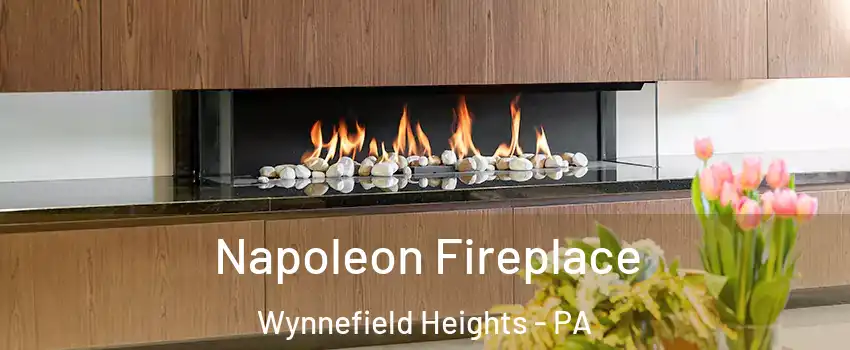 Napoleon Fireplace Wynnefield Heights - PA
