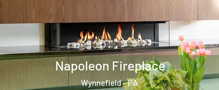Napoleon Fireplace Wynnefield - PA