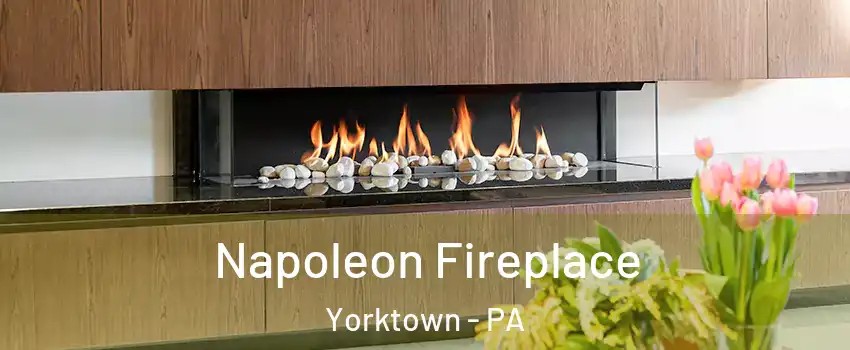 Napoleon Fireplace Yorktown - PA