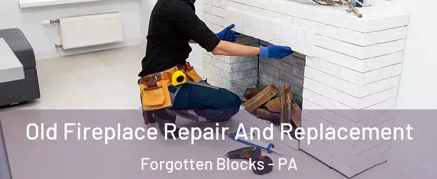 Old Fireplace Repair And Replacement Forgotten Blocks - PA
