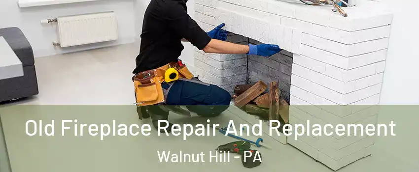 Old Fireplace Repair And Replacement Walnut Hill - PA