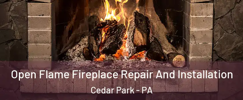 Open Flame Fireplace Repair And Installation Cedar Park - PA