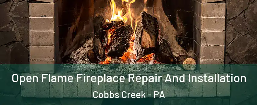 Open Flame Fireplace Repair And Installation Cobbs Creek - PA